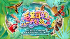 午秭归少年寻踪记》将到访屈原家园——湖北省
